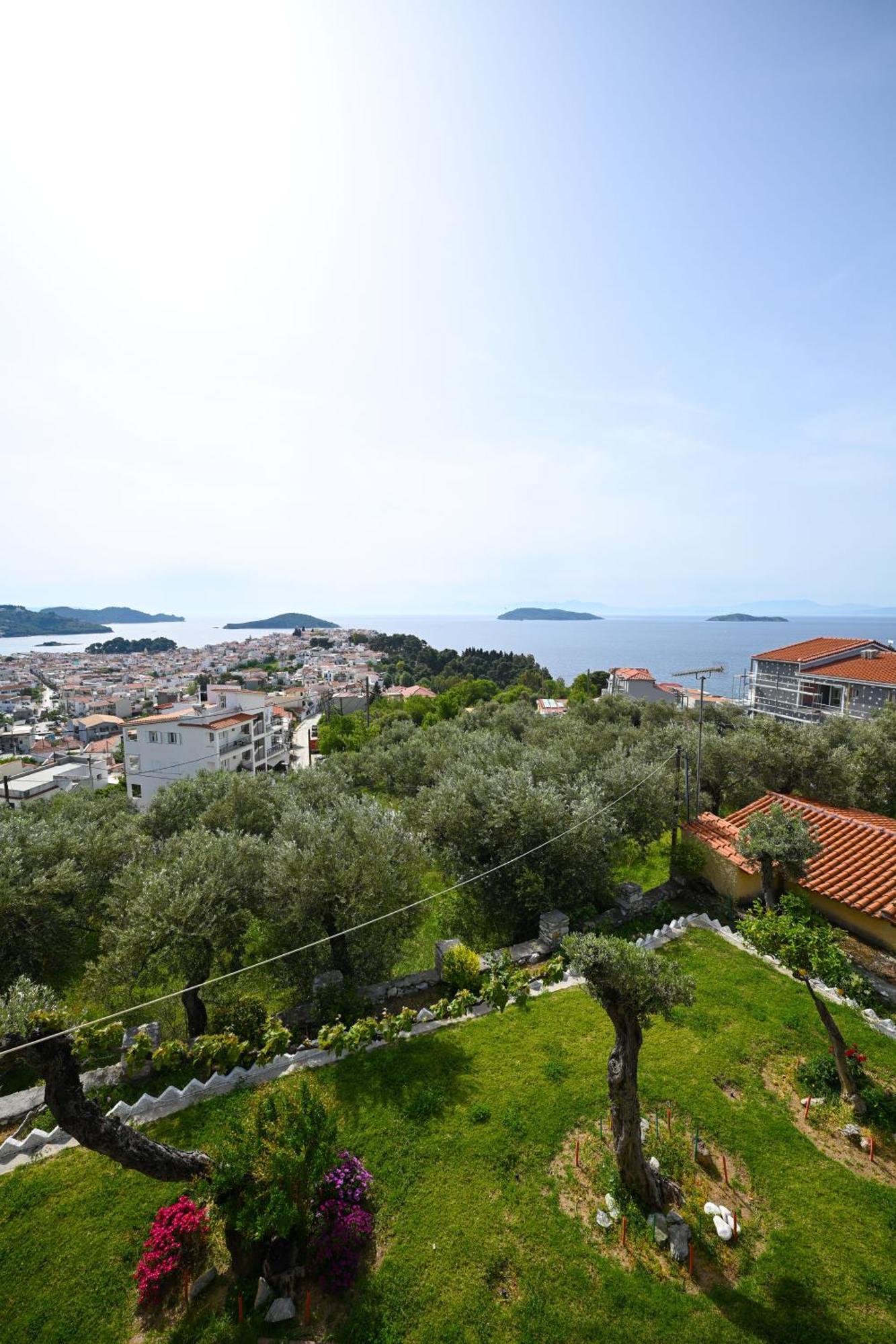 Makis Sea View Studios Скиатос Экстерьер фото